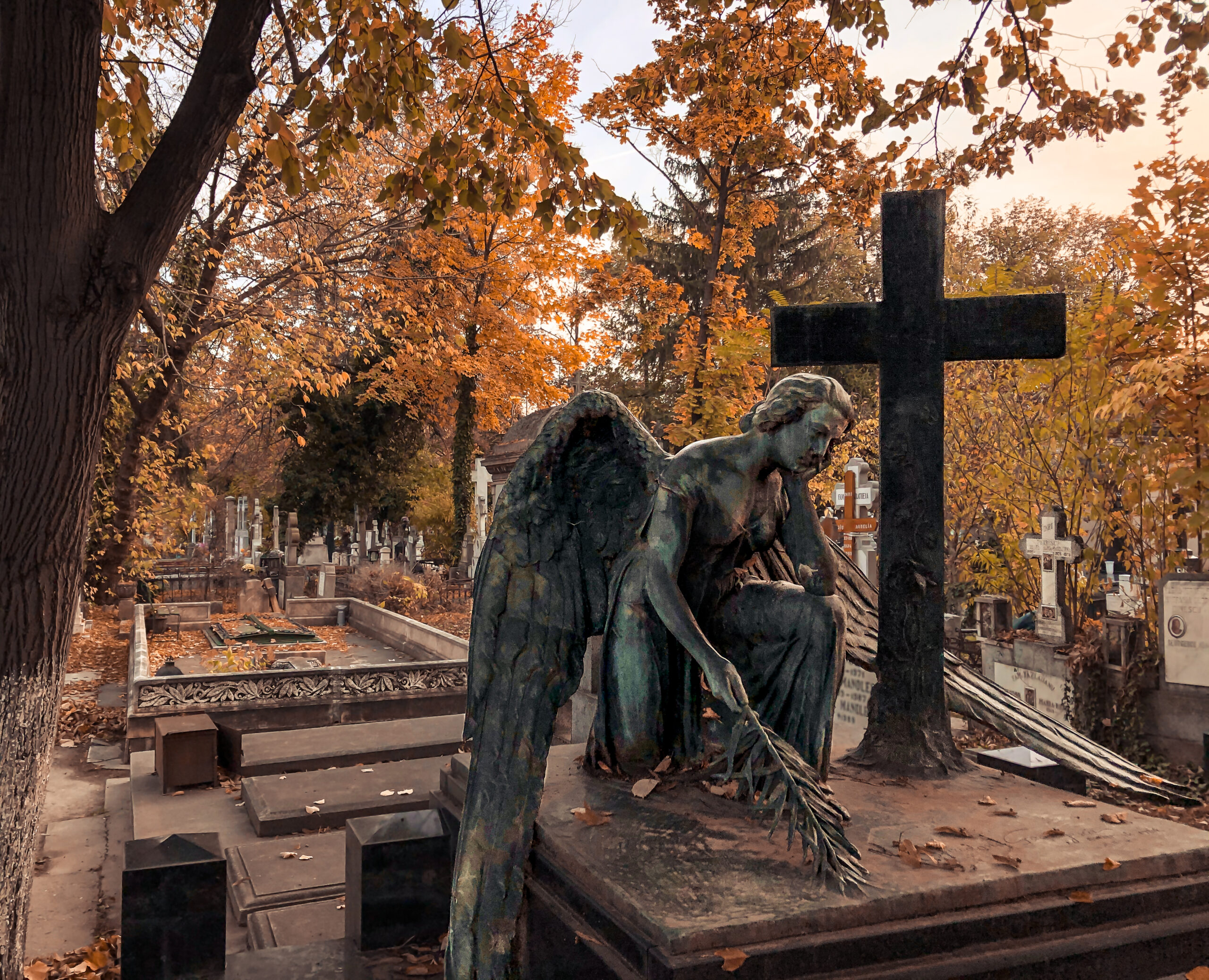 cimitirul bellu 